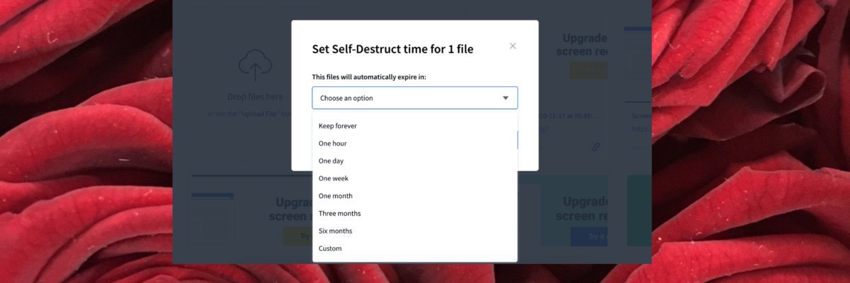 self-destruct file