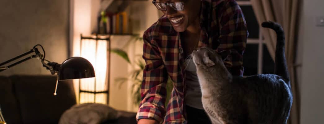 Why not Write A Guest Post For Droplr