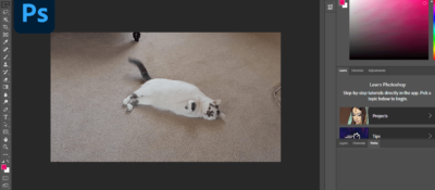 10 Best Photoshop Plugins That Anyone Can Use